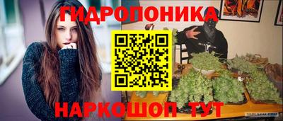 шишки Бузулук