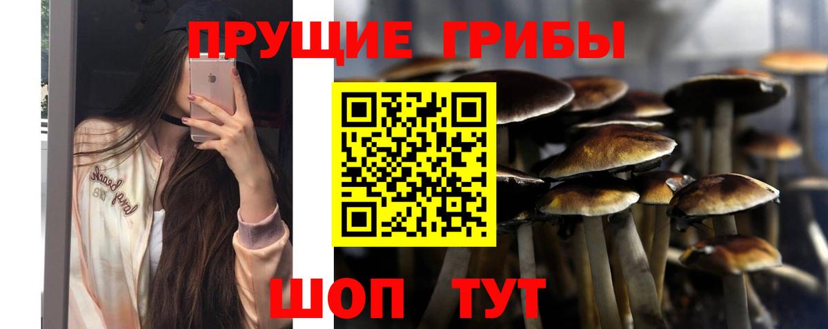 Псилоцибиновые грибы ЛСД Реутов